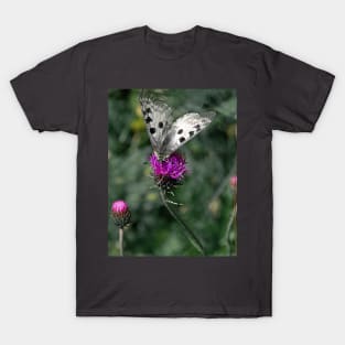 Polka Dots Butterfly Purple Flower Closeup T-Shirt